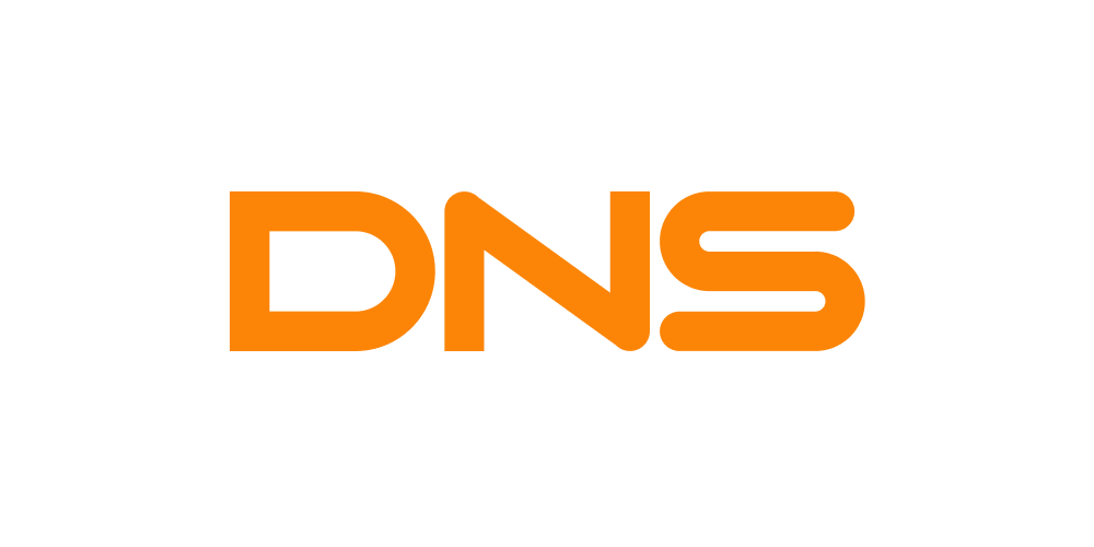 DNS logo (1).png